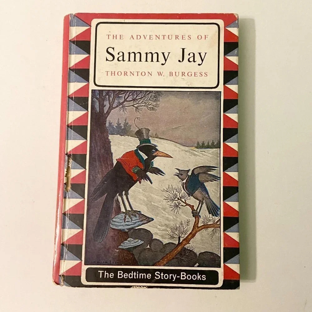Vintage 1964 The Adventures of  Sammy Jay Thornton W Burgess